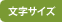 文字サイズ