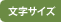 文字サイズ