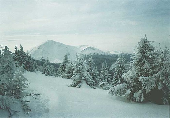 会場となったヤヴォリヴのカラパティア山（Carpathian Mountains）
