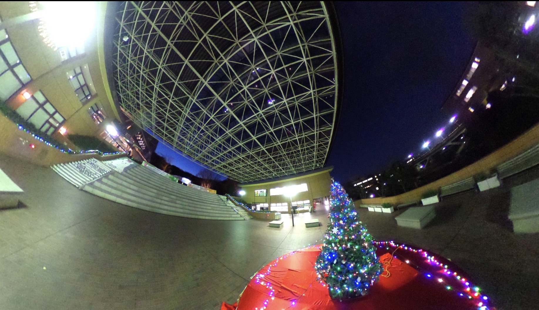 大東文化大学 キャンパスプラザ クリスマスツリー