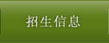 招生信息