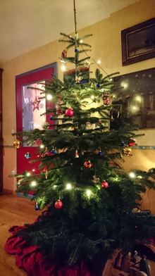 友人の実家でクリスマスツリーの飾りつけをしました