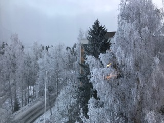 冬の窓からの風景