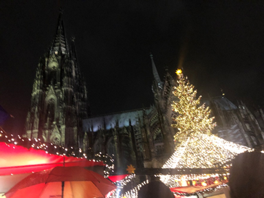 ケルン大聖堂とクリスマスマーケットのツリー