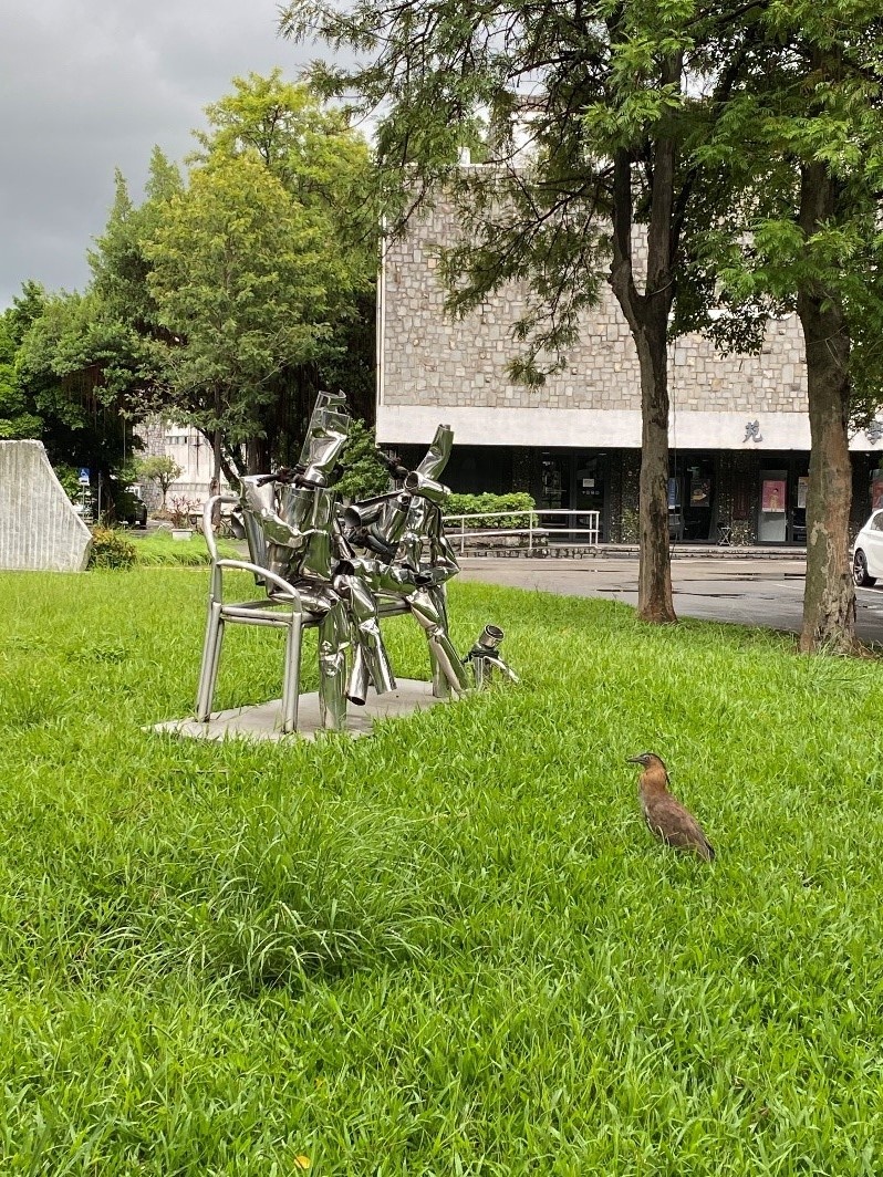 学校の校内にあるオブジェとズグロミゾゴイという校内でよく見かける鳥です｡台湾に来るまでは見たことがない鳥でした｡