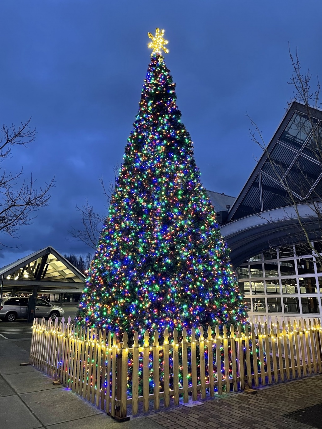 ダウンタウンのクリスマスツリー
