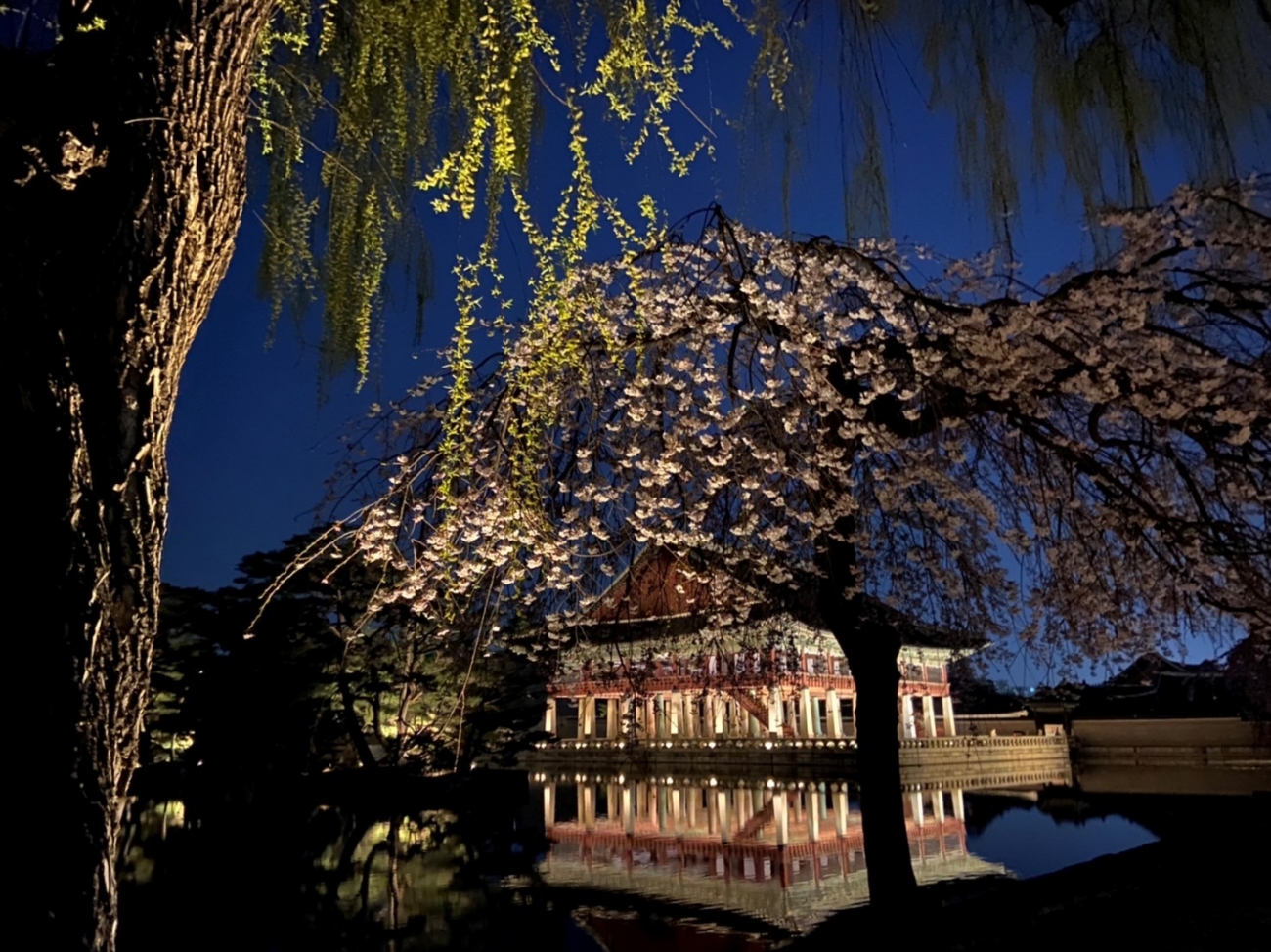 夜の景福宮