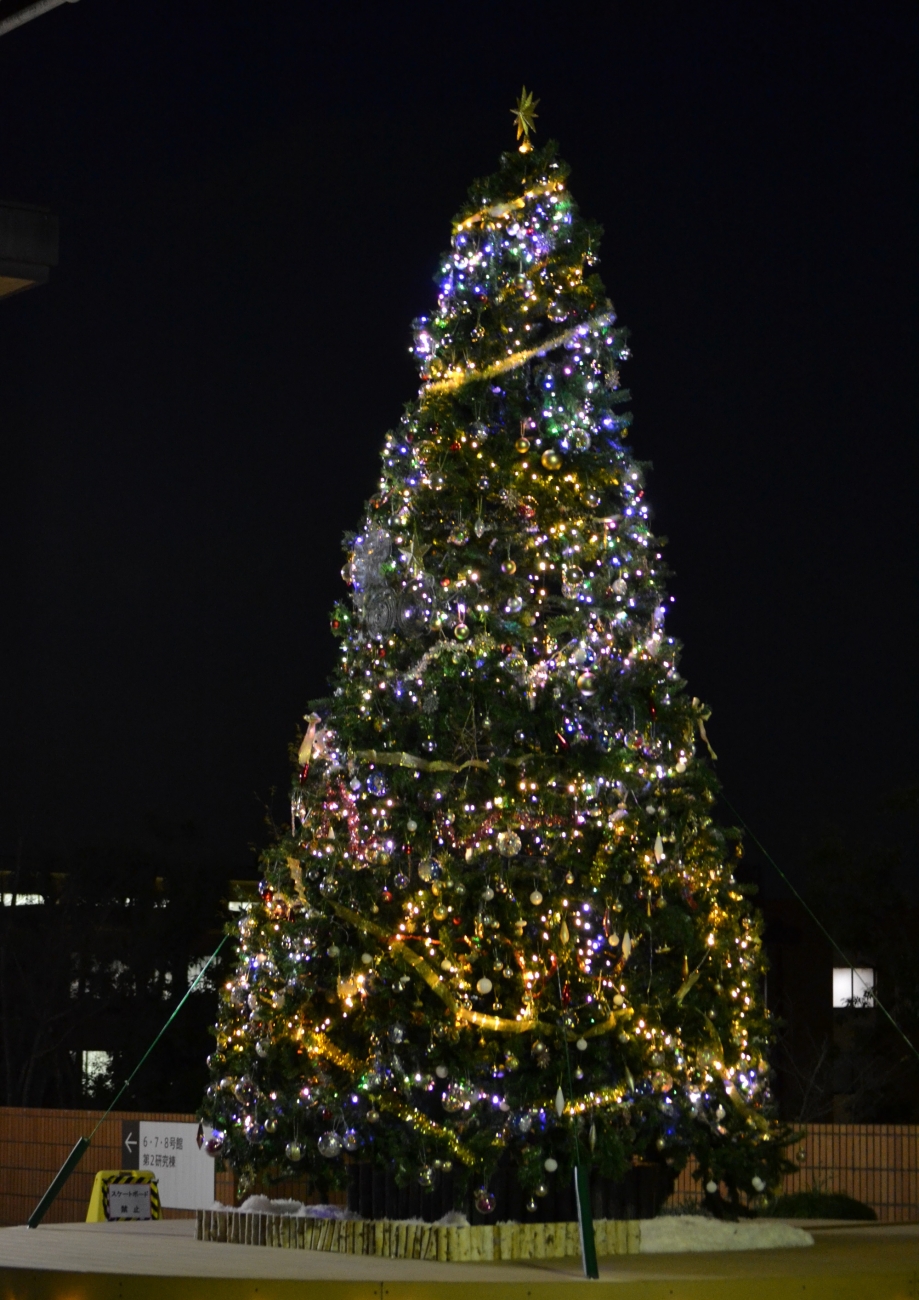 昨年より飾り付けが豪華になったクリスマスツリー
