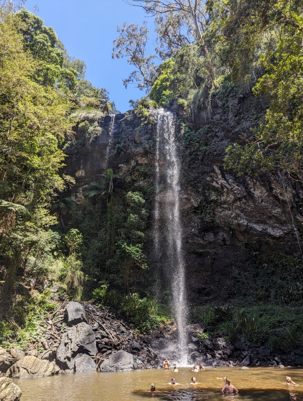 Springbrook national park