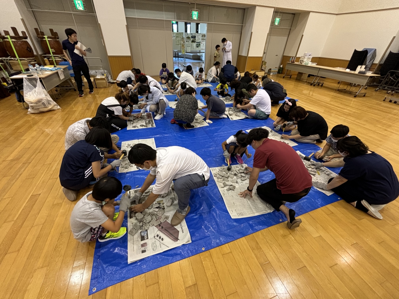 堆積岩から木の葉化石を発掘