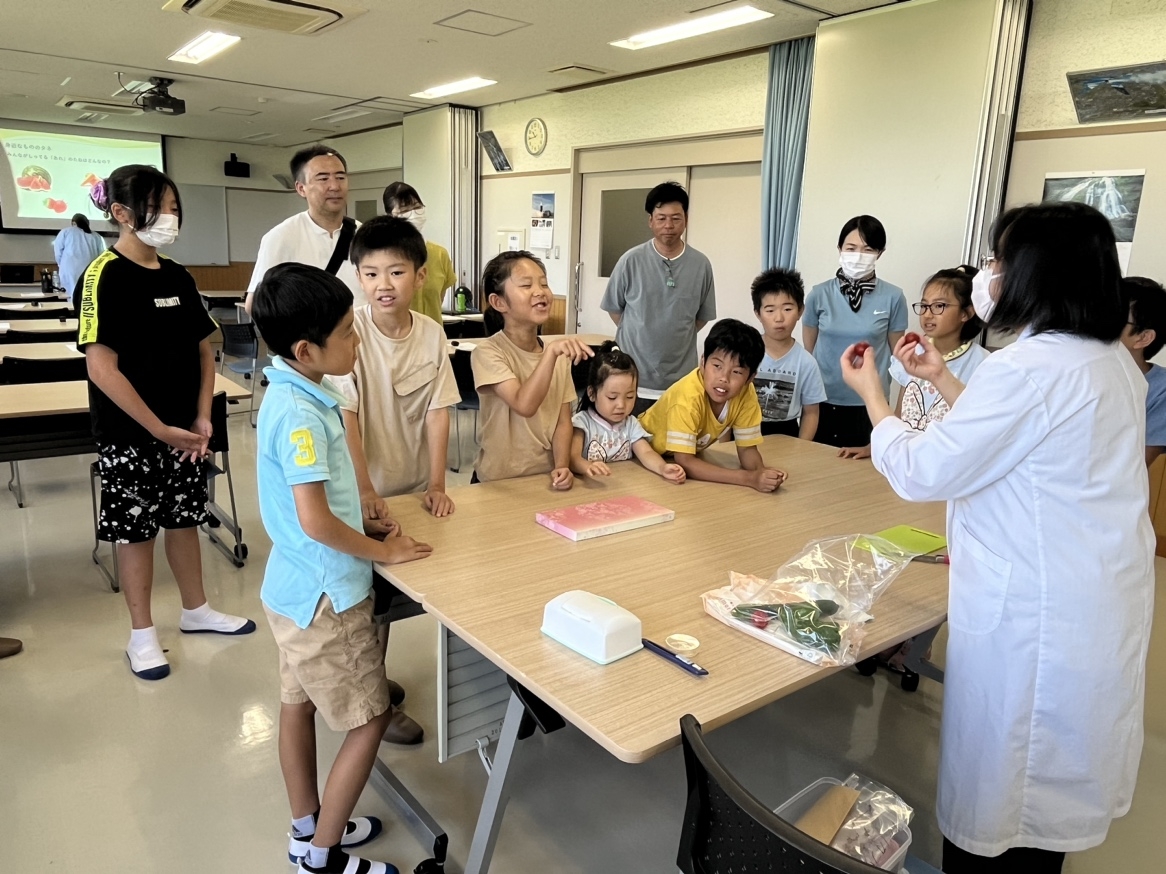 タネの仕組みを解説