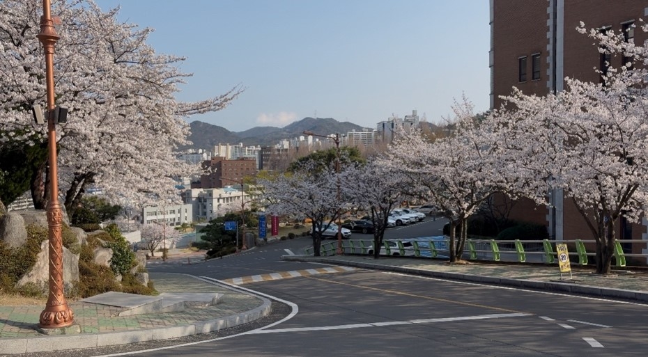 学校からの景色