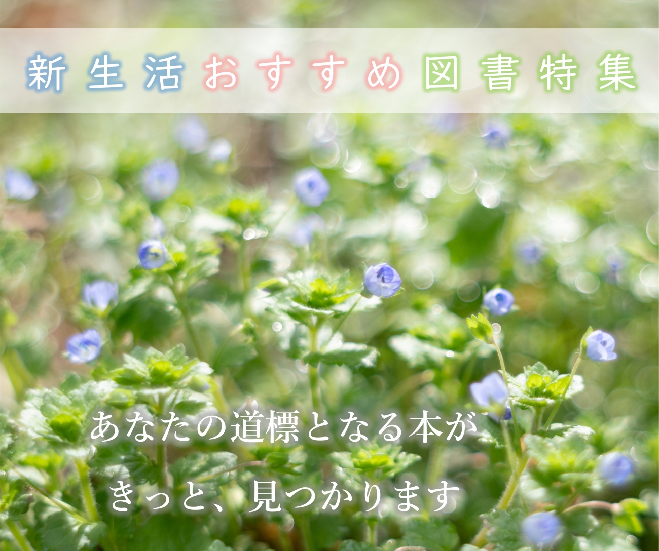 新生活おすすめ図書特集