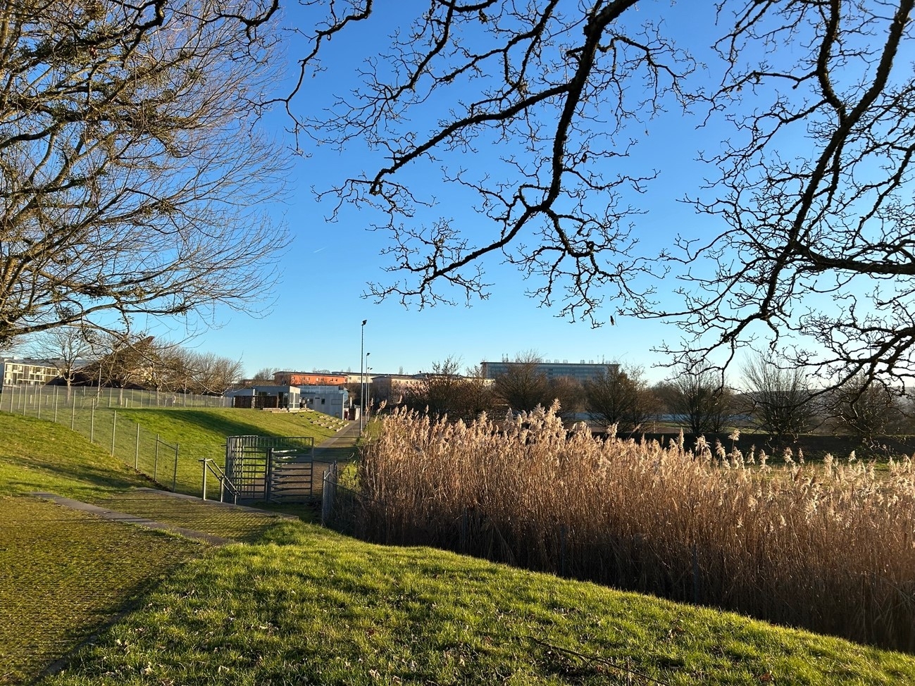 天気の良い日はこのように散歩に行きます。