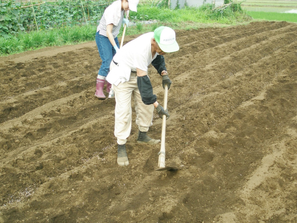 船橋名人の鍬さばき