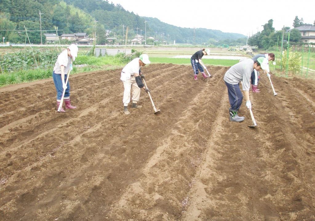 施肥後の覆土