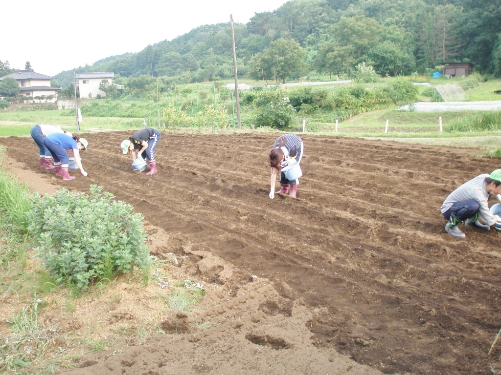 種まき（３）