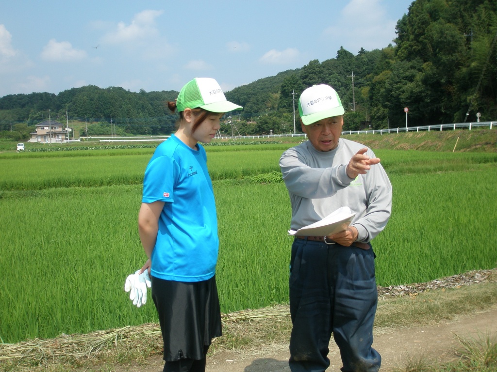 中耕・培土とは？