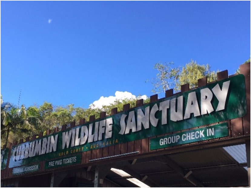 Currumbin Wildlife Sanctuary                   