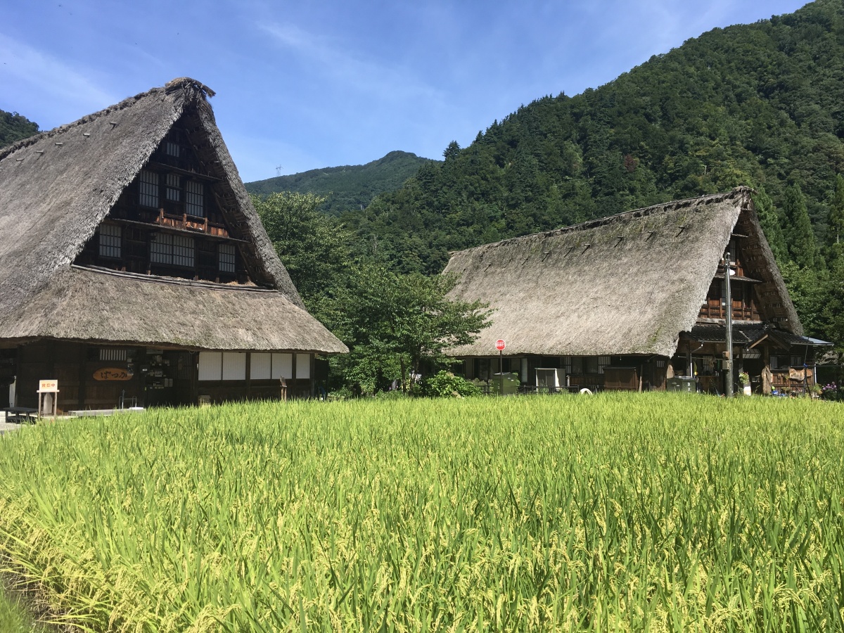 五箇山・菅沼合掌造り集落