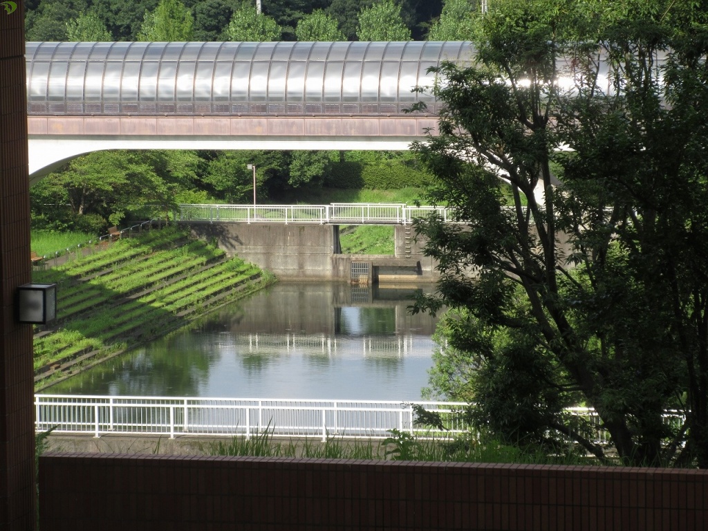 （クリックすると拡大表示されます）