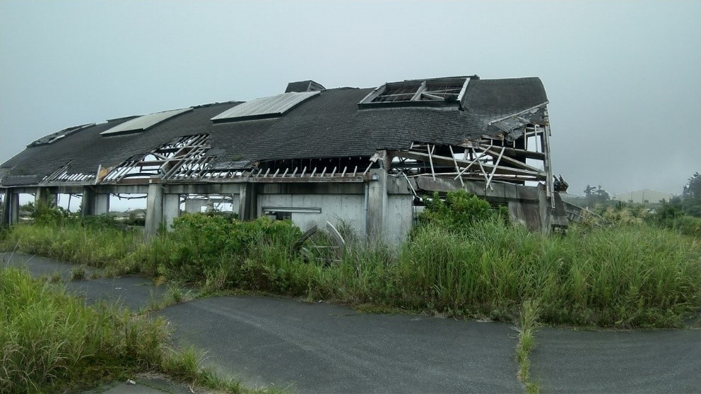 帰宅困難区域内の一風景