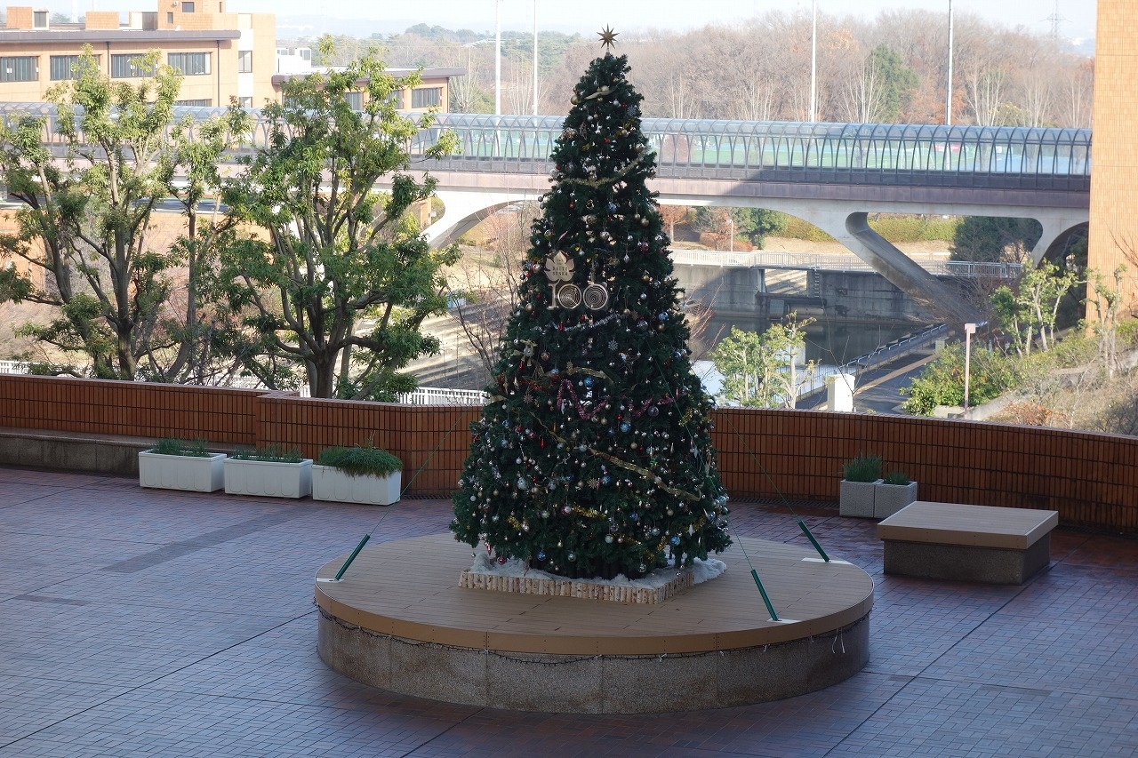 イベント広場　クリスマスツリー