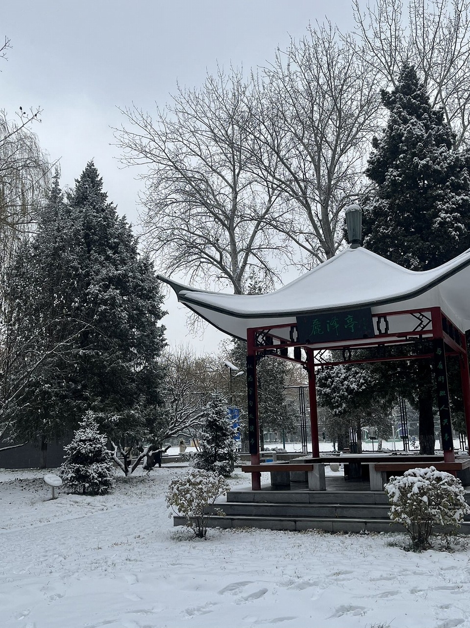 キャンパスの雪景色
