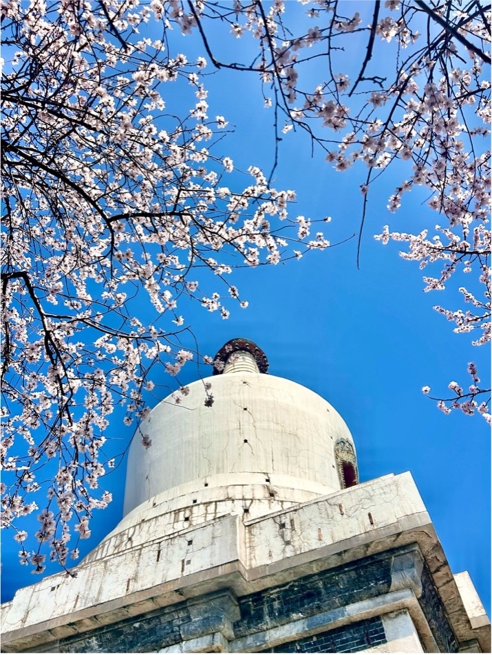 北海公園の白塔
