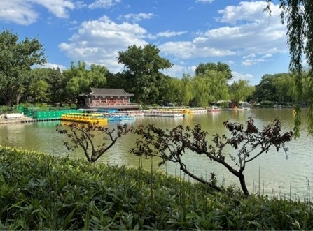 中国の公園