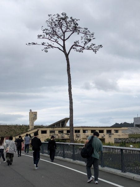 (奇跡の一本松)