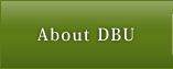 About DBU