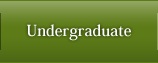 Undergraduate