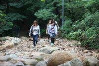 現地研修韓国